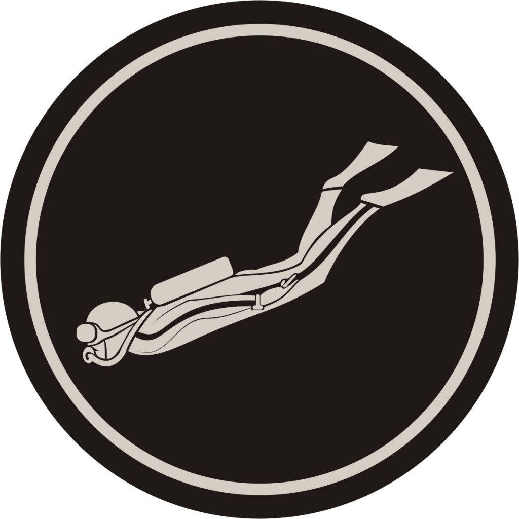 Fachausbildung Abzeichen Tauchen